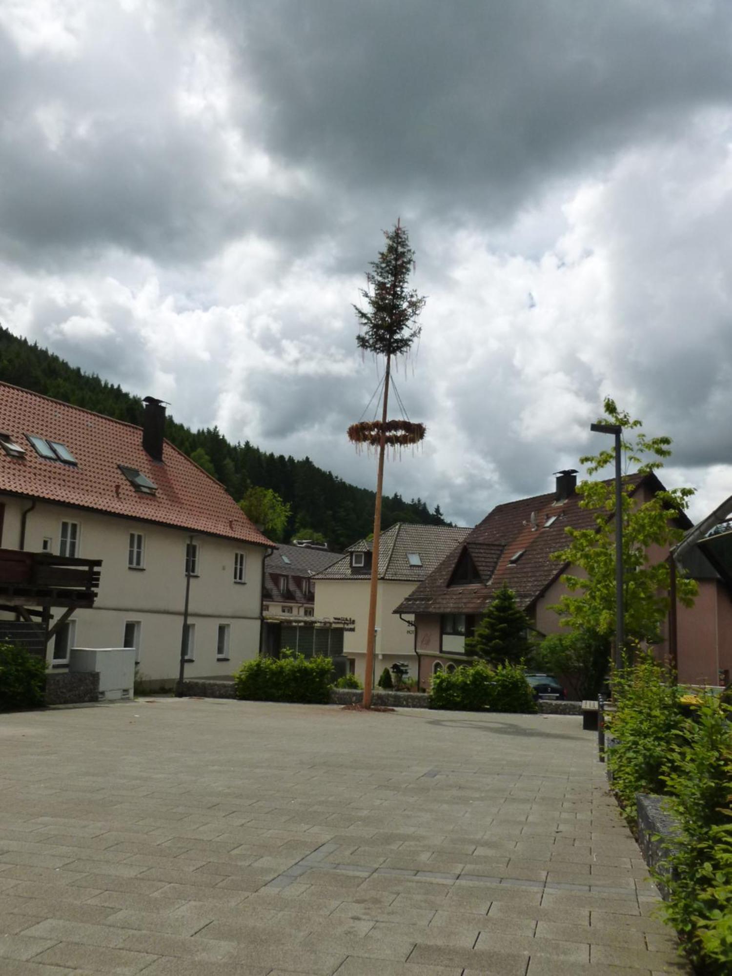 Gasthaus Waldhorn Bad Teinach-Zavelstein Luaran gambar